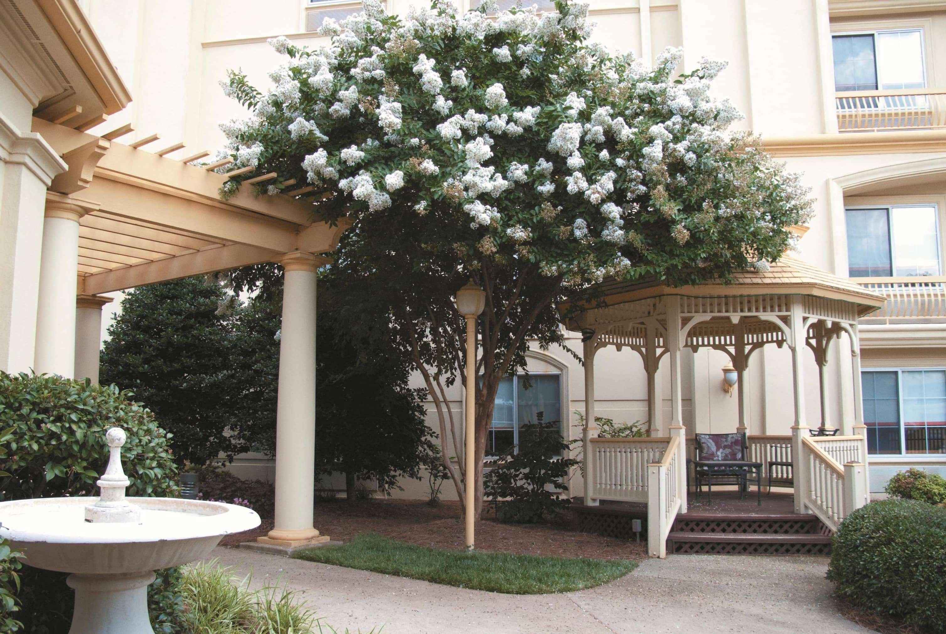 La Quinta By Wyndham Raleigh Crabtree Hotel Ngoại thất bức ảnh